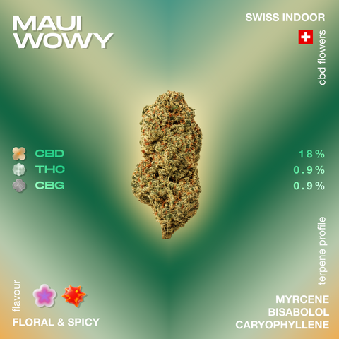 Image of Maui Wowy CBD flower with floral and spicy flavor notes, showing CBD 18%, THC 0.9%, CBG 0.9%, and terpenes myrcene, bisabolol, caryophyllene.