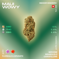 Fiore di cannabis Maui Wowy con profilo terpenico floreale e speziato, contenente 18% CBD, 0.9% THC e 0.9% CBG, coltivato indoor in Svizzera.