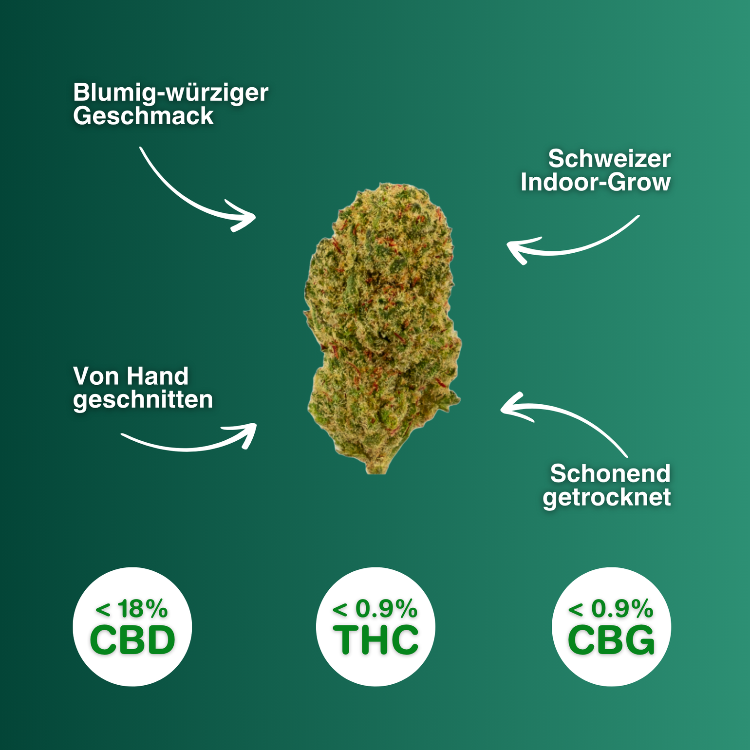CBD Öl: Wirkung verstehen für den Alltag – Green Passion