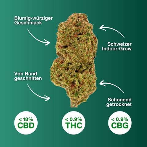 Maui Wowy - CBD Blüten Indoor