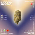 Moonrocks avec 70% de CBD, 0.9% de THC et 0.2% de CBG, saveur herbacée et épicée, profil terpénique avec bisabolol, caryophyllène et humulène.