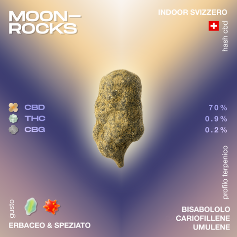 Moonrocks CBD con profilo terpenico bisabololo, cariofillene e umulene, gusto erbaceo e speziato, con 70% CBD, 0,9% THC, 0,2% CBG.