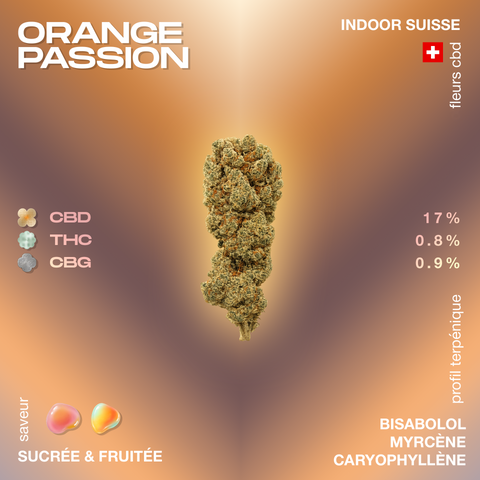 Fleur de CBD Orange Passion avec des niveaux de CBD, THC et CBG affichés, saveur sucrée et fruitée, et profil terpénique comprenant bisabolol, myrcène et caryophyllène.