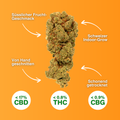 CBD flower Orange Passion on an orange background, hand-trimmed, with a sweet fruity flavor, from Swiss indoor cultivation.