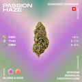 Eine CBD-Blüte der Sorte Passion Haze mit Angaben zu CBD-, THC- und CBG-Gehalt sowie einem blumig-süssen Aroma und Terpenprofil.