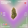 Fleur de CBD Passion Haze avec 19% de CBD, 0,7% de THC et 0,4% de CBG, saveur florale et sucrée, cultivée sous serre en Suisse.
