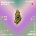 Fiore di cannabis Passion Haze con profilo terpenico di mircene, bisabololo e cariofillene, gusto floreale e dolce, CBD 19%, THC 0,7%, CBG 0,4%.