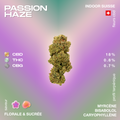 Fleurs de CBD Passion Haze avec un profil floral et sucré, contenant 18 % de CBD, 0,8 % de THC et 0,7 % de CBG, cultivées en intérieur en Suisse.