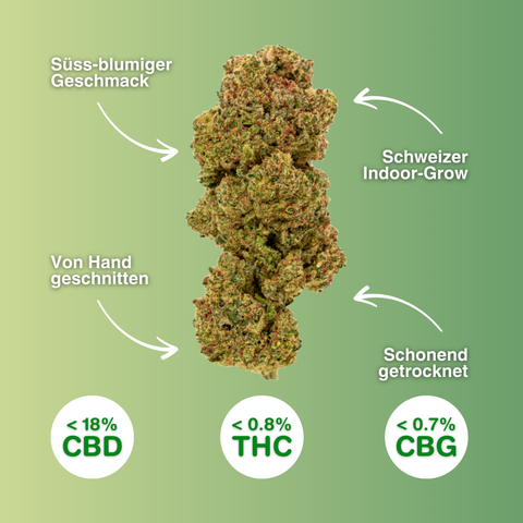 Passion Haze - CBD Blüten Indoor