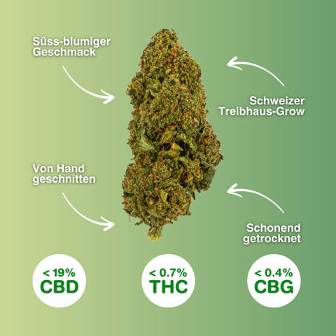 Passion Haze - Fleurs de CBD de Serre