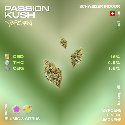 Passion Kush Popcorn CBD Blüten mit 16% CBD, 0.9% THC und 1.5% CBG, blumig und citrus Aroma, Schweizer Indoor Anbau, Terpenprofil mit Myrcene, Pinene, Limonene.