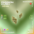 Immagine di fiori di CBD Passion Kush Popcorn con profilo terpenico e percentuali di CBD, THC e CBG su sfondo verde.