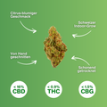 CBD flower Passion Kush Popcorn 10g, grown indoors in Switzerland, features hand-trimmed, gently dried buds with a citrus note.