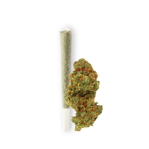 Produktfoto von Green Passion: Vorgerollter Joint neben einer grossen frischen, grünen CBD-Blüte der CBD Sorte Fruit Punch. Das Bild zeigt die Qualität und Frische des Produkts auf einem weißen Hintergrund.