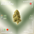 Fleur de CBD White Passion avec 20% de CBD, saveur herbacée et épicée, profil terpénique de pinène, caryophyllène et myrcène.