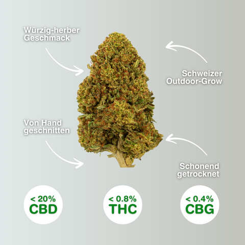 White Passion - Fleurs de CBD Outdoor