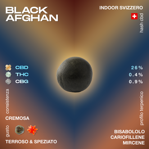 Pallina di hashish Black Afghan con dettagli su contenuto di cannabinoidi e profilo terpenico su sfondo sfumato.