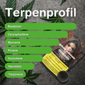 Terpenprofil von Black Afghan CBD Hash Indoor mit Cannabisblatt und Produktverpackung auf Steinoberfläche, zeigt Terpene wie Bisabolol und Caryophy…
