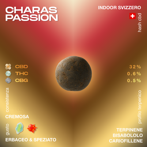 Charas Passion, hash CBD svizzero indoor con consistenza cremosa e gusto erbaceo e speziato. Contiene CBD 32%, THC 0.6%, CBG 0.5%.