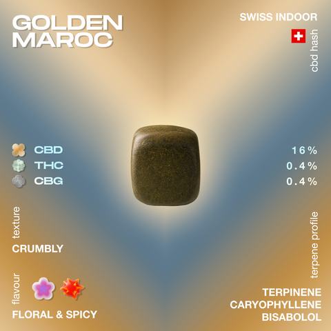 Golden Maroc CBD hash with a crumbly texture, floral and spicy flavor, containing 16% CBD, 0.4% THC, and 0.4% CBG, featuring terpenes like terpinene, caryophyllene, and bisabolol.