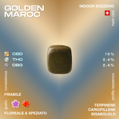 Cubetto di hashish Golden Maroc con dettagli su contenuto di CBD, THC e CBG, consistenza friabile e profilo terpenico su sfondo sfumato.