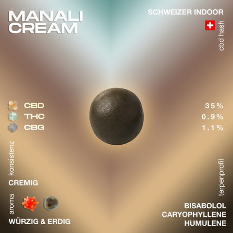 Manali Cream CBD Hash mit cremiger Konsistenz, würzig-erdigem Aroma und Terpenen wie Bisabolol, Caryophyllene und Humulene. Enthält 35% CBD, 0.9% THC und 1.1% CBG.