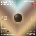 Manali Cream hash con 35% CBD, 0,9% THC, 1,1% CBG, consistenza cremosa, gusto speziato e terroso, profilo terpenico con bisabololo, cariofillene e umulene.