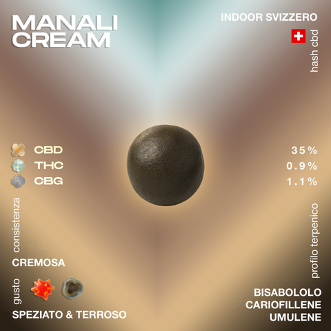 Manali Cream hash con 35% CBD, 0,9% THC, 1,1% CBG, consistenza cremosa, gusto speziato e terroso, profilo terpenico con bisabololo, cariofillene e umulene.