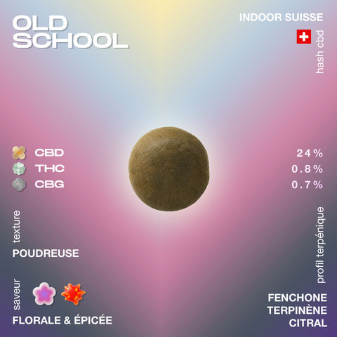Produit CBD hash Old School avec une texture poudreuse, saveur florale et épicée, et un profil terpénique comprenant fenchone, terpinène et citral.