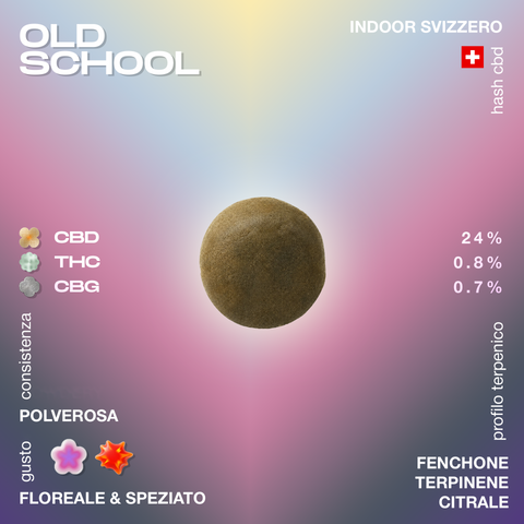 Hash sferico con etichetta 'Old School', contenente 24% CBD, 0.8% THC e 0.7% CBG, con gusto floreale e speziato, consistenza polverosa.