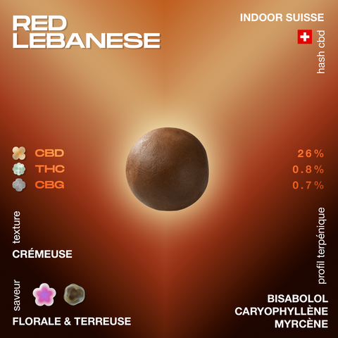 Red Lebanese CBD Hash avec une texture crémeuse, saveur florale et terreuse, contenant 26% de CBD, 0.8% de THC, et 0.7% de CBG.