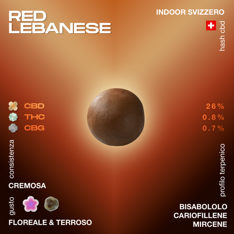 Hash Red Lebanese con consistenza cremosa e gusto floreale e terroso, con 26% CBD, 0.8% THC, e 0.7% CBG, profilo terpenico di bisabololo, cariofillene e mircene.