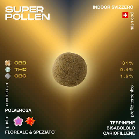Palla di polline di CBD con dettagli su contenuto di CBD, THC e CBG, consistenza polverosa e profilo terpenico floreale e speziato.