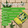 Packaging of Zero Zero CBD Hash Indoor with terpene profile on a brick background and cannabis leaf, showing caryophyllene, bisabolol, and other terpenes.