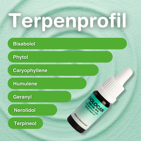 10% CBD Öl Vollspektrum mit Hanfsamenöl, 10ml