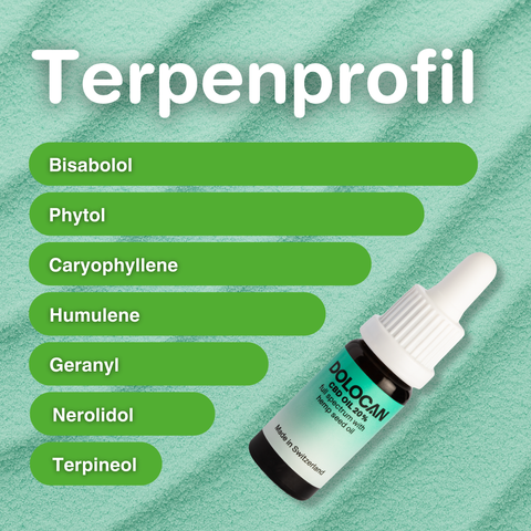 Das Bild zeigt eine Flasche 20% CBD Öl Vollspektrum mit Hanfsamenöl, 10ml, neben einem Terpenprofil auf grünem Hintergrund.