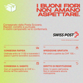 Grafik mit Lieferinformationen von Swiss Post für schnelle und kostenlose Lieferung bei Bestellungen über CHF 100.