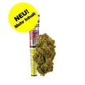 Amnesia Haze Joint pré-roulé CBD King Size dans un emballage coloré avec un autocollant jaune "Nouveau ! Plus de contenu" et une tête de fleur de cannabis verte.