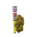 CBD Pre-Roll Amnesia Haze by Green Passion – High-quality CBD joint from Swiss indoor cultivation with an intense citrus and pine aroma, perfect for relaxing moments