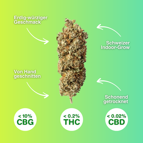 Freedom Flower - Fleurs de CBG Indoor