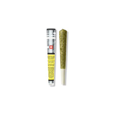 Coated Royal – King Size CBD Pre-Rolled Joint