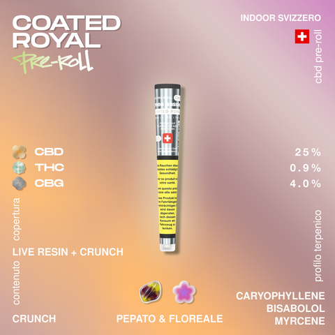 Confezione di un pre-roll CBD Coated Royal con dettagli su contenuto e profilo terpenico.
