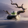 DOLOCAN CBD Face Cream in einem grünen Tiegel mit silbernem Deckel, auf einem Stein in einer natürlichen Umgebung platziert.