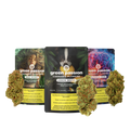 CBD Flowers Classic-Set: A selection of high-quality CBD flowers in various strains.