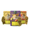CBD infiorescenze - Fruit-Set: Una selezione di infiorescenze CBD fruttate in un Set.