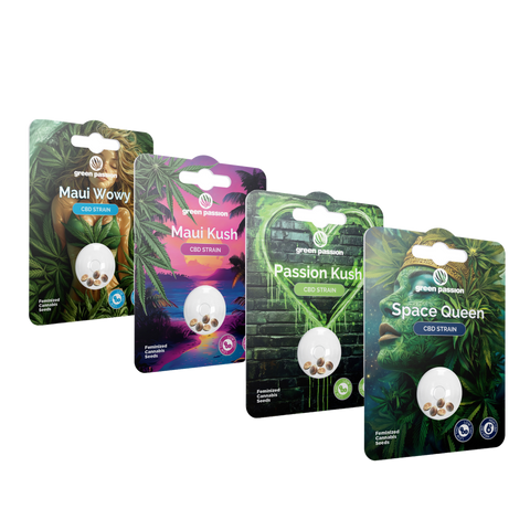 CBD Samen - Set