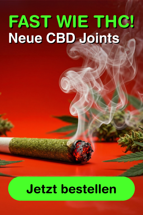 Brennender CBD Joint mit sichtbarer Glut und Rauch vor rotem Hintergrund, Hanfblueten im Hintergrund, Werbemotiv fuer neue CBD Joints