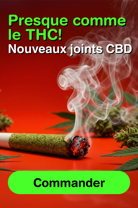 Joint CBD allume avec braise visible et fumee sur fond rouge, fleurs de chanvre en arriere-plan, visuel promotionnel CBD
