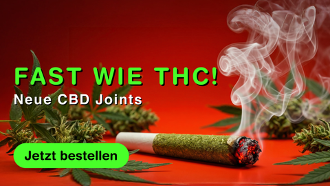 Brennender CBD Joint mit sichtbarer Glut und Rauch vor rotem Hintergrund, Hanfblueten und Werbetext fuer neue CBD Joints