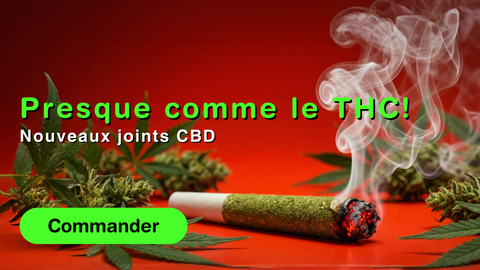 Joint CBD allume avec braise visible et fumee sur fond rouge, fleurs de chanvre et message promotionnel CBD